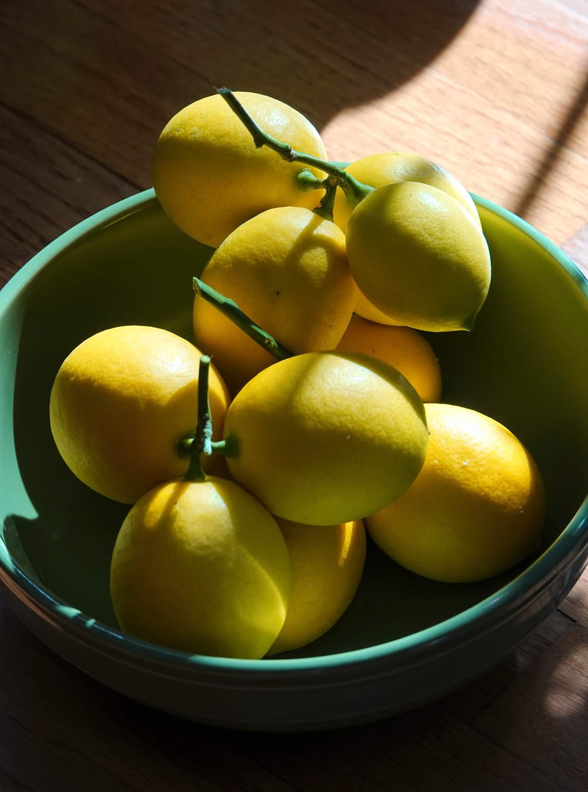 One Day at a Time When Life Gives You Lemons