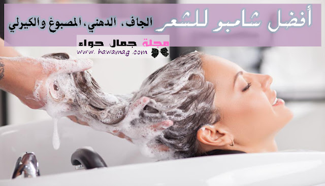 افضل شامبو للشعر ، افضل شامبو للشعر الجاف ، افضل شامبو للشعر الدهني ، افضل شامبو للشعرالتالف ، افضل شامبو للشعر المصبوغ ، افضل شامبو للشعر الكيرلي ، افضل شامبو للشعر المجعد افضل شامبو للشعر ، افضل شامبو للشعر الجاف ، افضل شامبو للشعر الدهني ، افضل شامبو للشعرالتالف ، افضل شامبو للشعر المصبوغ ، افضل شامبو للشعر الكيرلي ، افضل شامبو للشعر المجعد