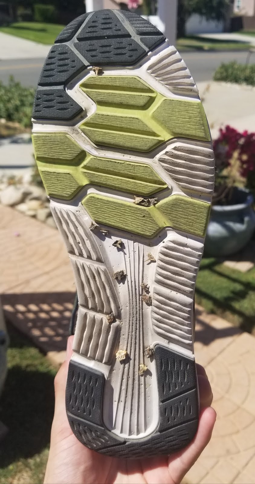 Karhu Fusion Ortix 2020 Multiple Tester Review - DOCTORS OF RUNNING