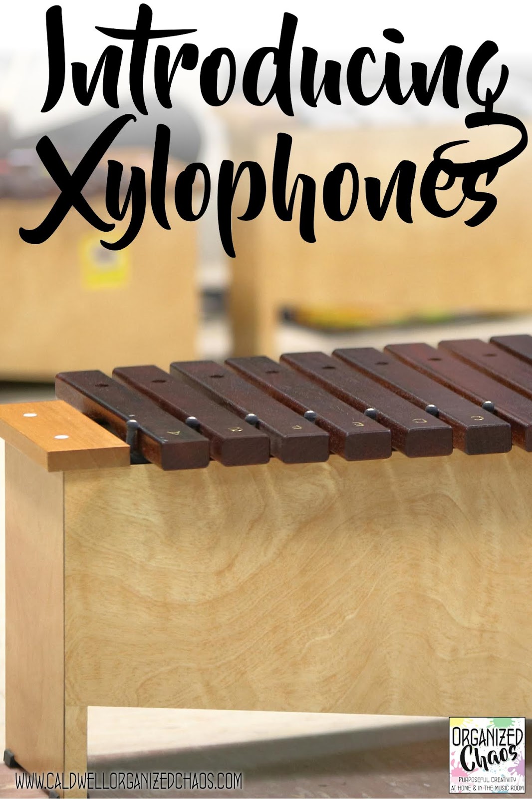 Introducing Xylophones Organized Chaos