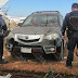 Asegura SSP dos vehículos con reporte de robo, en Zamora