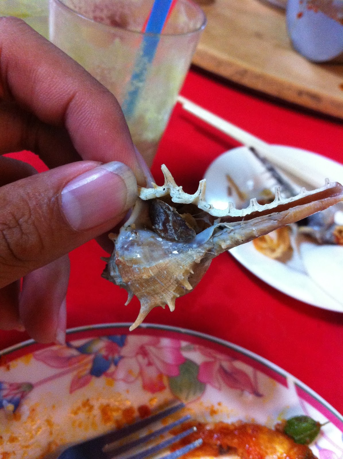 Our Journey Penang Bukit Tambun Fish Village Seafood Restaurant "渔村海鲜楼"