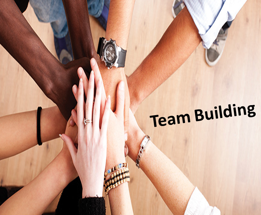 The Importance of Team Building Activities