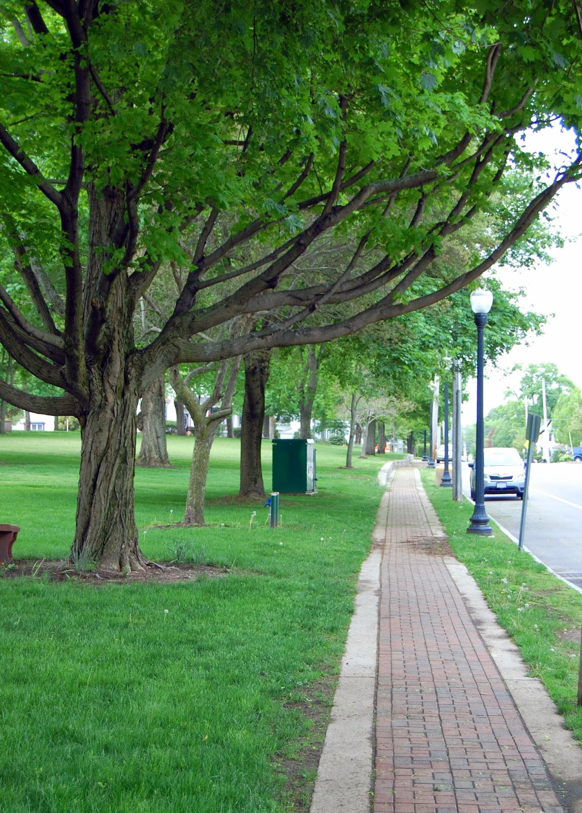 Union St sidewalk lined with trees Union St sidewalk lined with trees