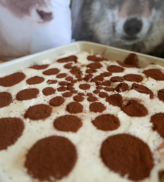 Korzenne tiramisu