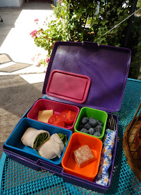 Weight Loss Surgery Healthy Lunchbox 