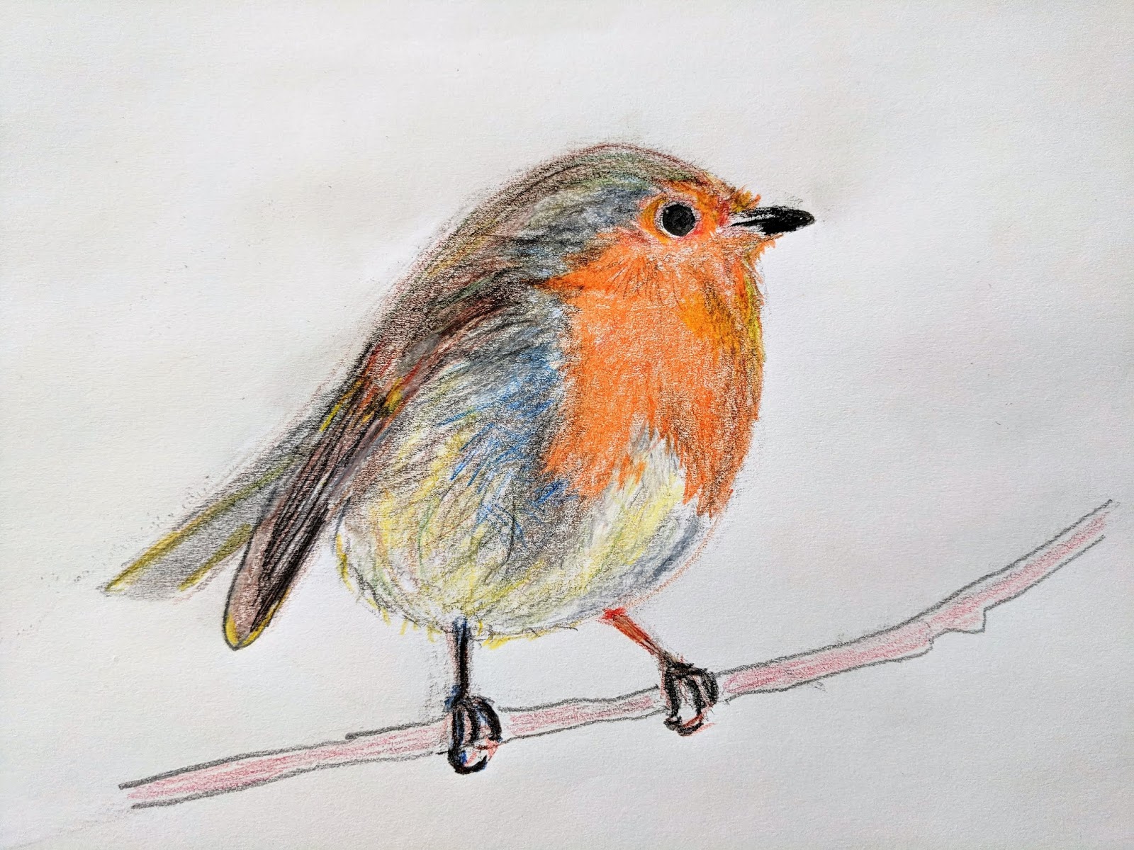 Doodle Bird Drawings Gratuit | Example PNG