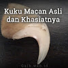 Kuku Macan dan Khasiatnya Kuku Macan dan Khasiatnya