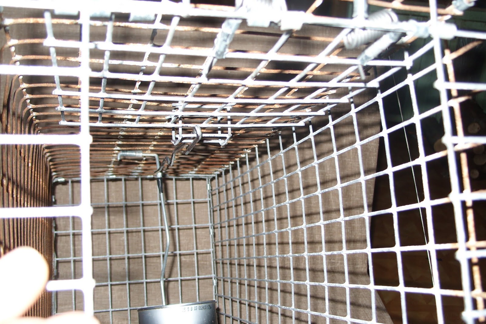 Forest House Farm DIY Box Trap