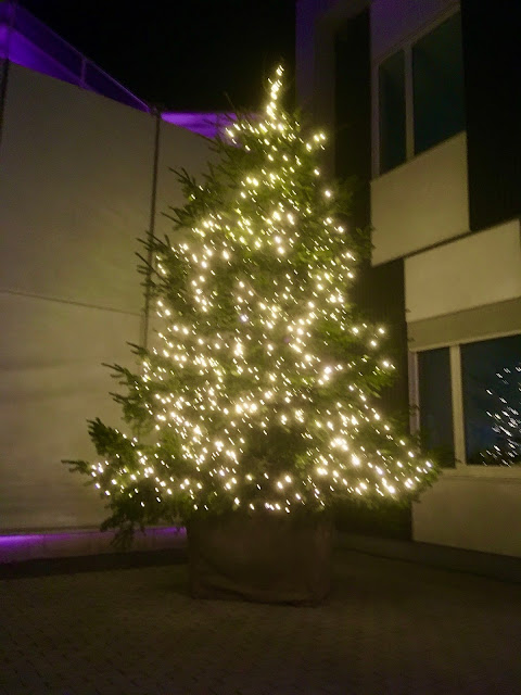 Kerstboom groot met verlichting huren of kopen voor bedrijven in Limburg Hasselt Vlaams Brabant Leuven Brussel Gent  Antwerpen  Prijzen op aanvraag