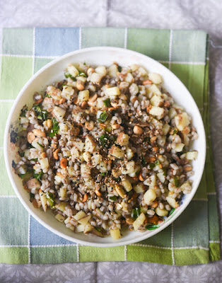 Pearl barley khichdi to mimic sabudana khichdi 