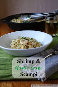 Shrimp, garlic scape pesto, and parsley in a wine/butter/lemon sauce over pasta.  Seasonal eating. The high falutin' way.