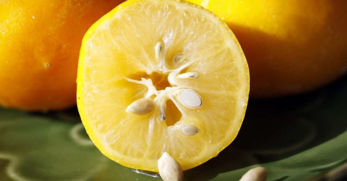 Citrus Seeds Are The New Trend For Losing Weight Here's How To Prepare Them