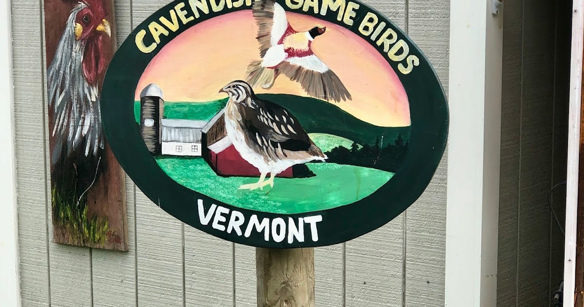 The Passionate Foodie Cavendish Game Birds From Quail to Balut