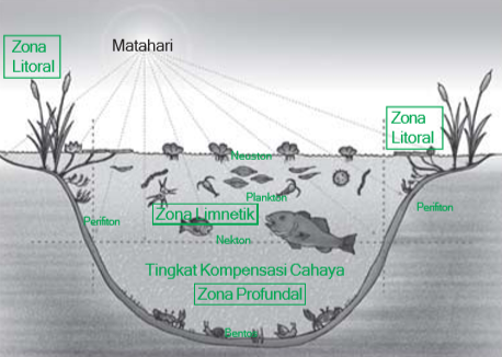 Kondisi komponen abiotik ekosistem darat