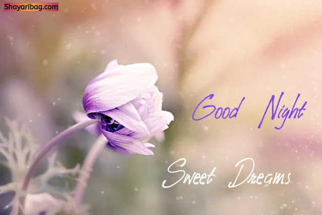 Good Night Images Good Night Images