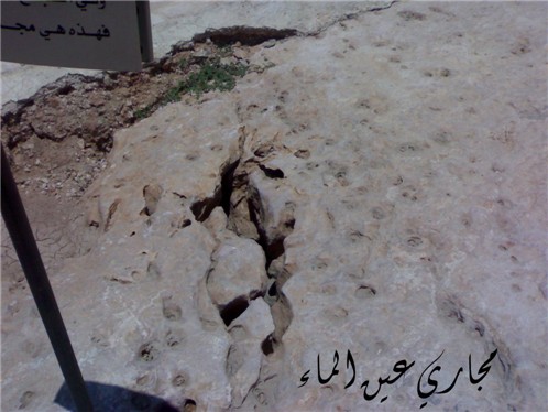أعجب القصص..أصحاب الكهف