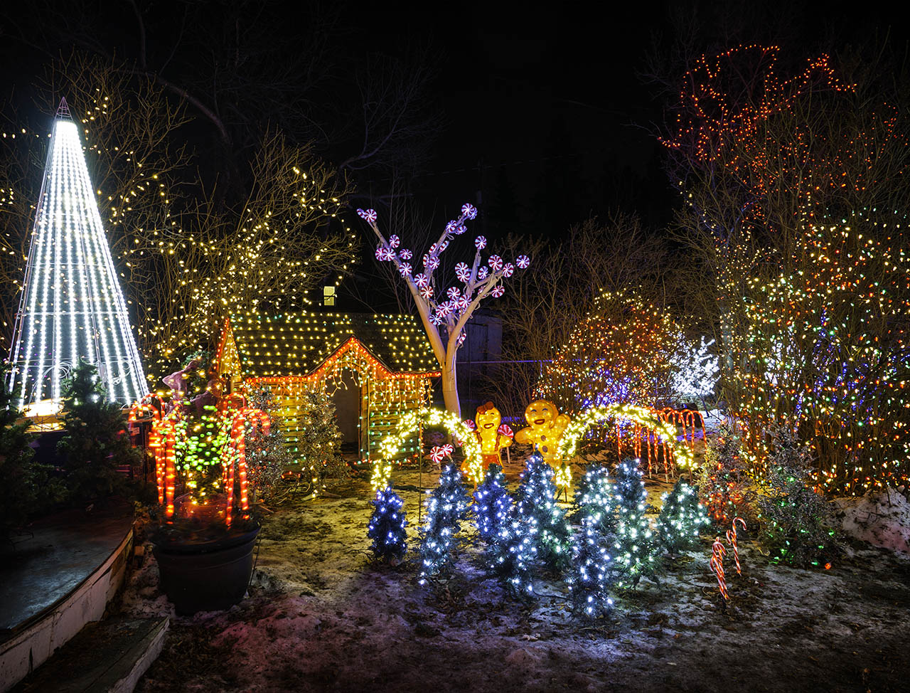 Edmonton Christmas Lights