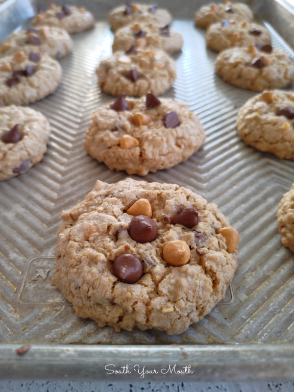 South Your Mouth Thick, Soft & Chewy Oatmeal Cookies