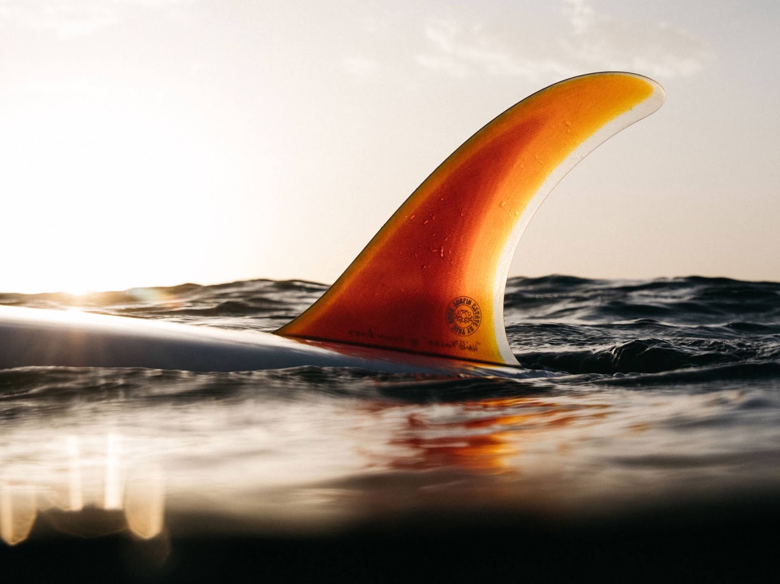 True Ames ft Surfin Estate Fin collab -by Pierre David