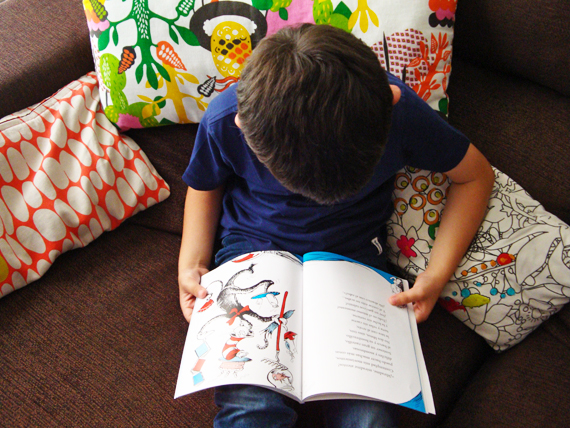 lectura-el-gato-garabato-boolino