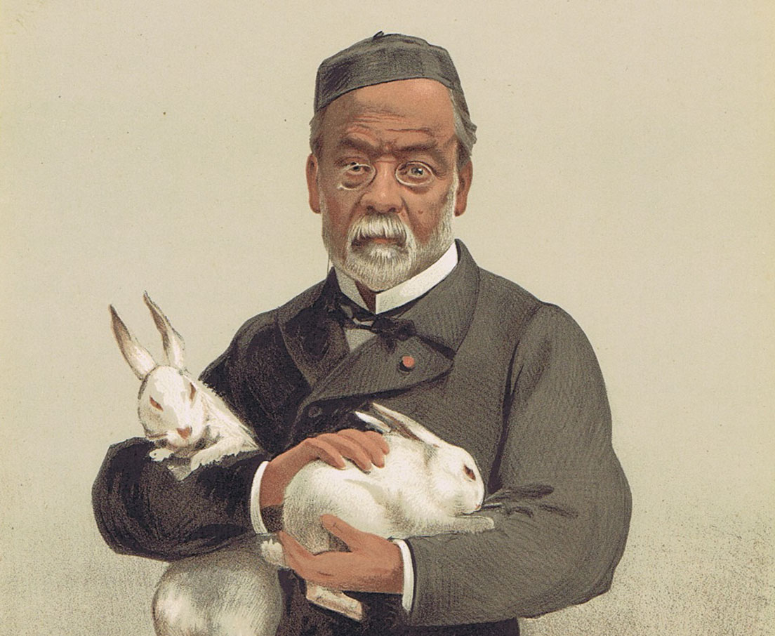 Луи пастер вакцина. Louis Pasteur. Пастер (Pasteur) Луи. Луи Пастер бешенство на кроликах.