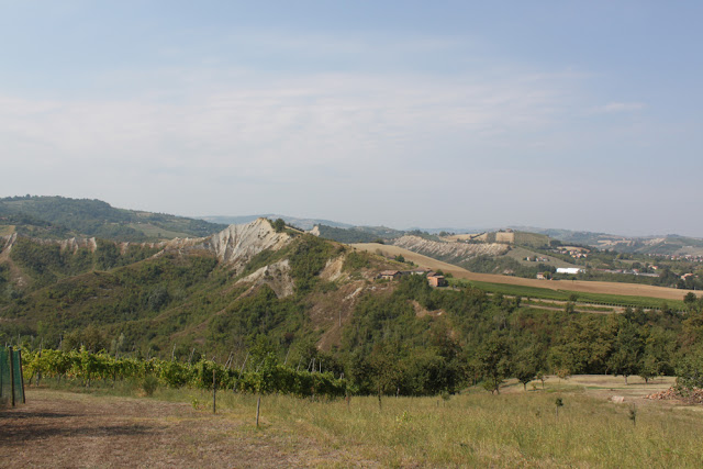Bologna, Valsamoggia - Viinitarhoja ja koirahommia 38 Bologna, Valsamoggia - Viinitarhoja ja koirahommia 37
