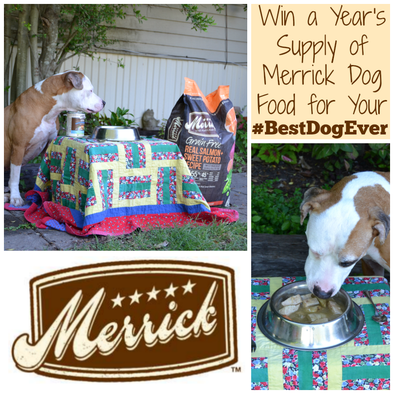 Having Lunch With the BestDogEver Win a Year's Supply of Merrick Dog