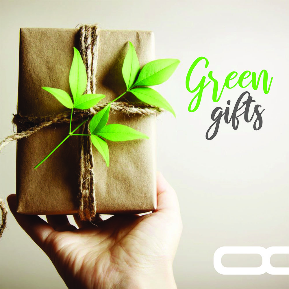 Экологичные подарки. Подарок фото. Экологичные подарки детям. Вручаем экологичный подарок.