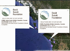 Pacific Ocean Monitoring MAP