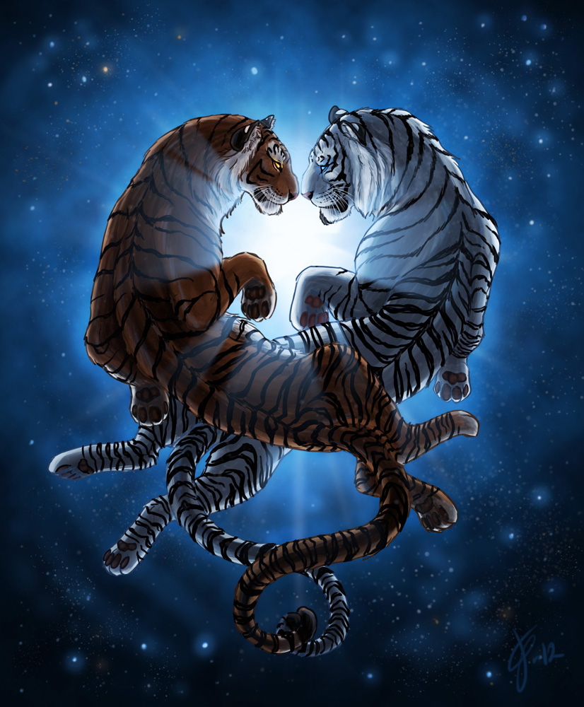 Мужчина рожденный тигр. Тигр Скорпион. Тигры любовь. Тигр Близнецы. Лев и тигрица любовь.
