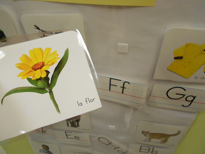 Ideas de Inspiración para los Educadores de Pine Village Preschool