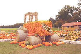 140 pumpkin varieties