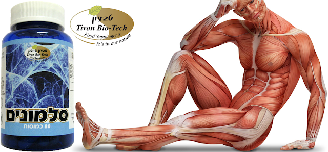 טבעון ביוטק סלמונים ויטמין סחוסים