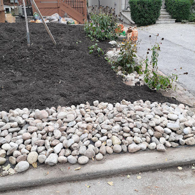 Allenby Toronto Front Yard Cleanup Rescue After by Paul Jung Gardening Services--a Small Toronto Gardening Company