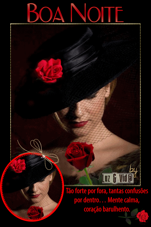 NOVO53-%2528MB%2529maryluz.gif