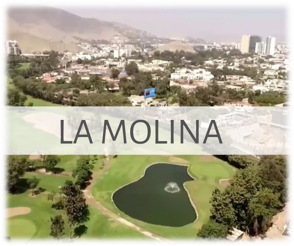 La Molina Jardín de Lima
