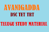 Avanigadda TET DSC TRT Telugu study material pdf