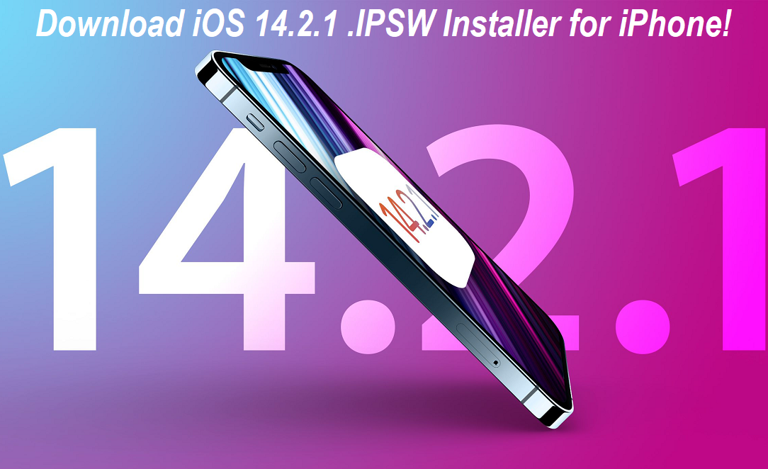 iOS 14.2.1 IPSW