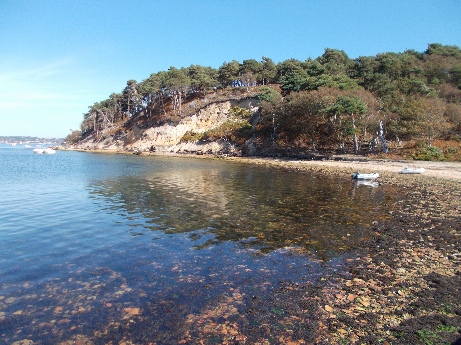 A lifetime of Islands Island 76 Brownsea Island, Dorset