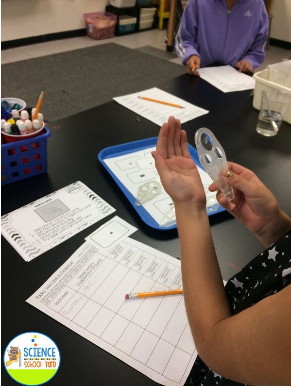 The Science School Yard