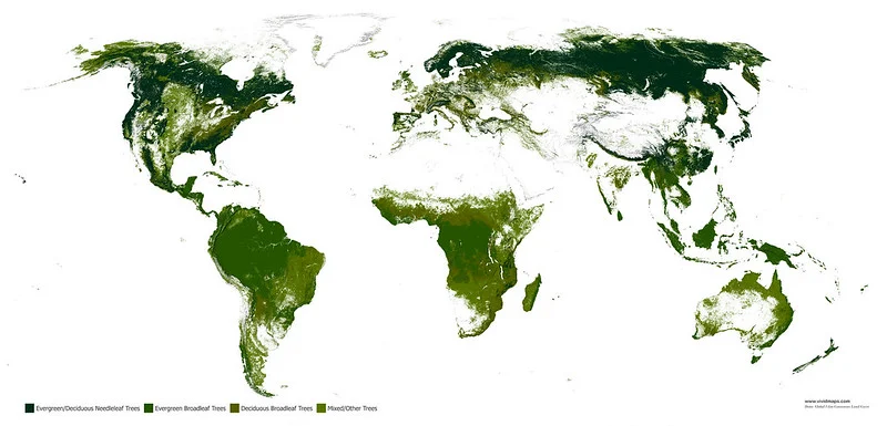 Forests in the world