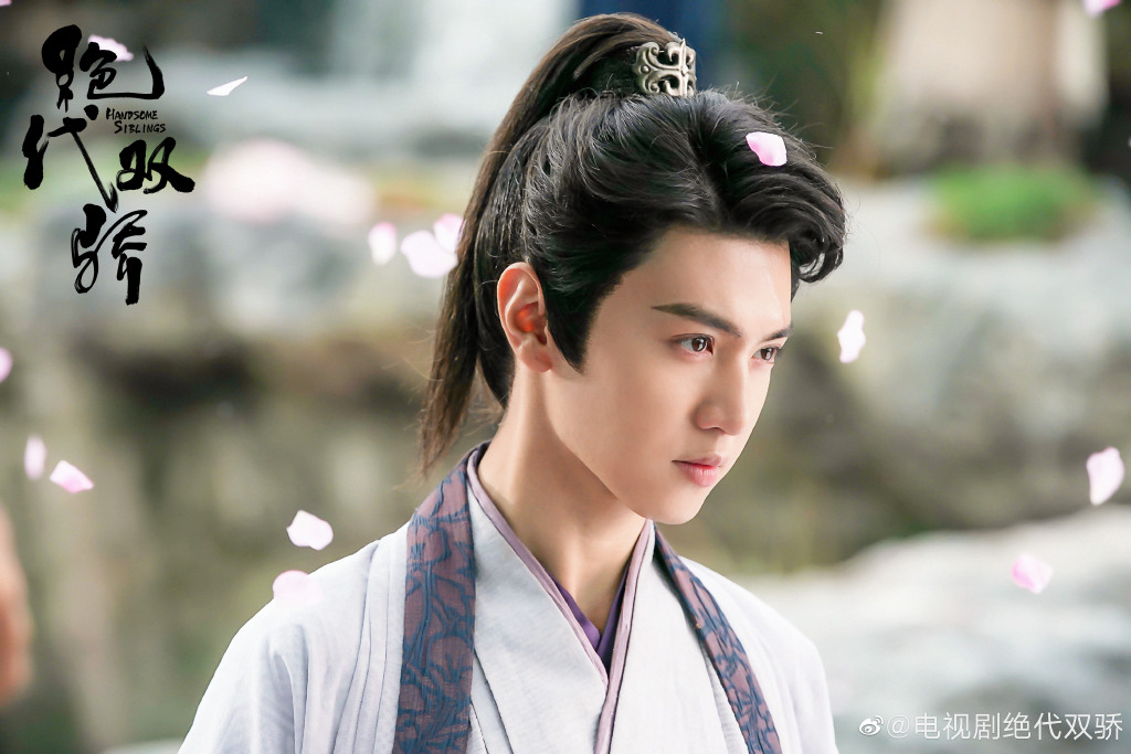 Handsome Siblings (2020) DramaPanda