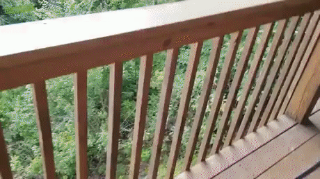 c4a799923b5a08c6cf32d3590f0b0105870b1d0c.gif