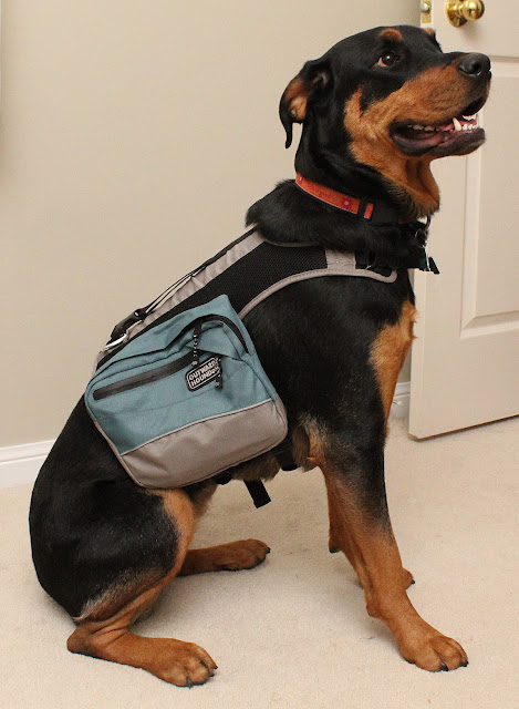 Outward Hound Backpack Dog