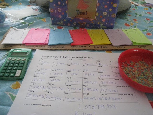 Rice romp essay image