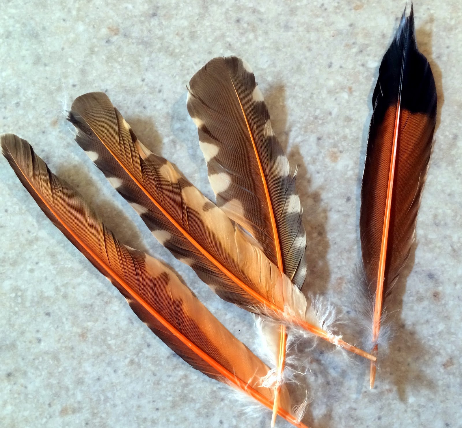 Art Talk Julie Ford Oliver Feathers and Eggs day 5 of the Challenge