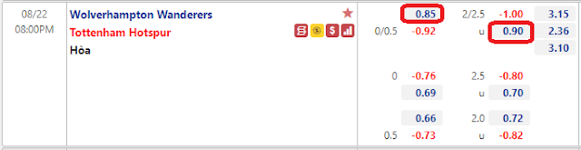 Tỷ lệ cá độ  Wolves vs Tottenham, 21h ngày 22/8-Ngoại Hạng Anh Keo-WolvesTottenham-22-8