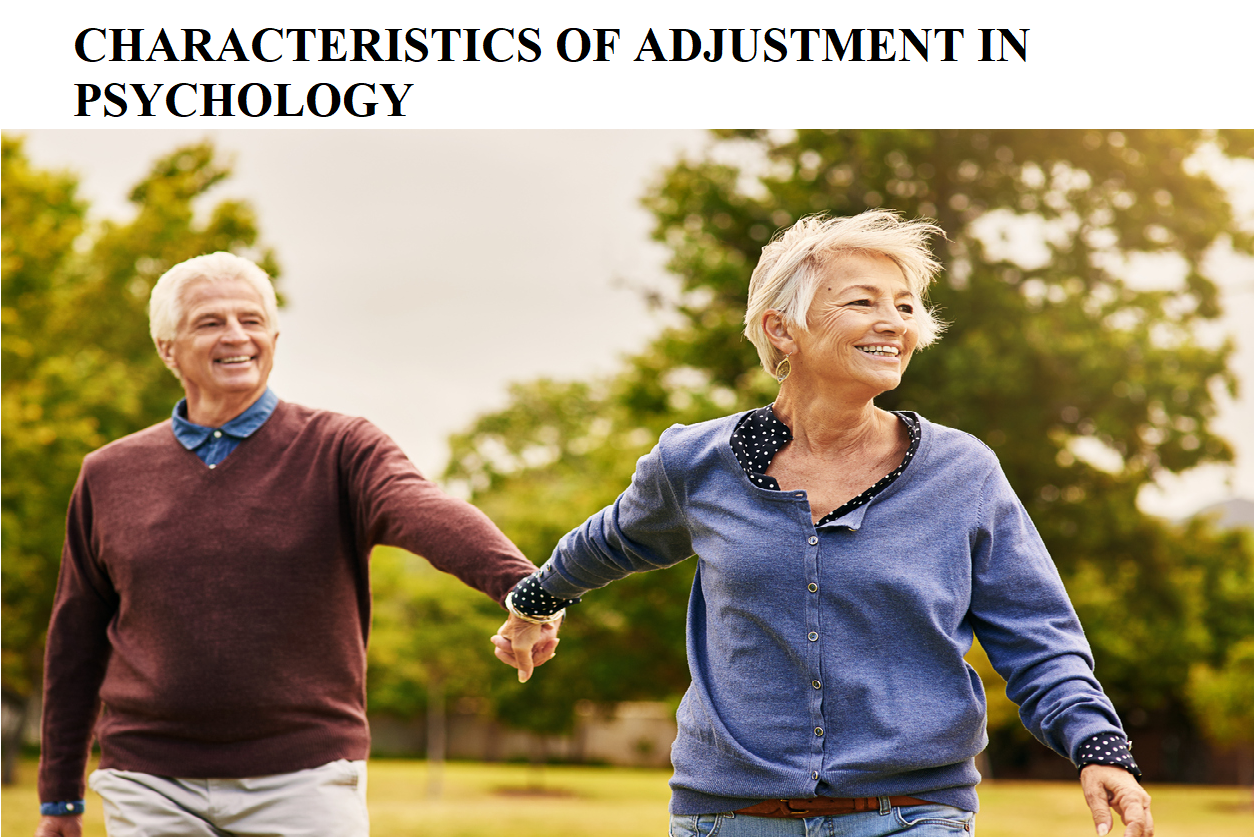 CHARACTERISTICS OF ADJUSTMENT IN PSYCHOLOGY Dr Manju Antil
