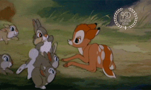 giphy-%25281%2529.gif